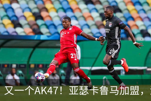 又一个AK47！亚瑟卡鲁马加盟，湖人自研里德？